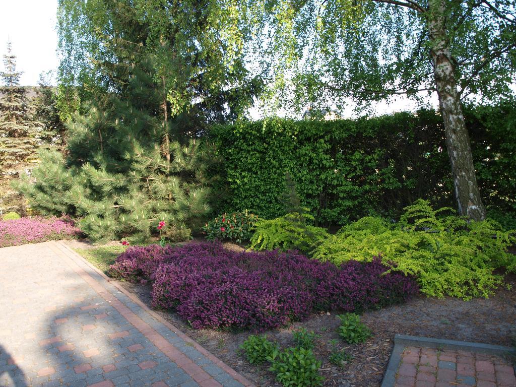 Pokoje U Beaty Apartment Władysławowo Exterior foto